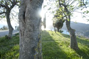 appartamenti per vacanze a Moneglia